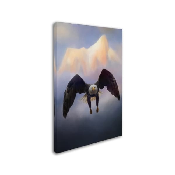 Jai Johnson 'Mountain Flight' Canvas Art,12x19